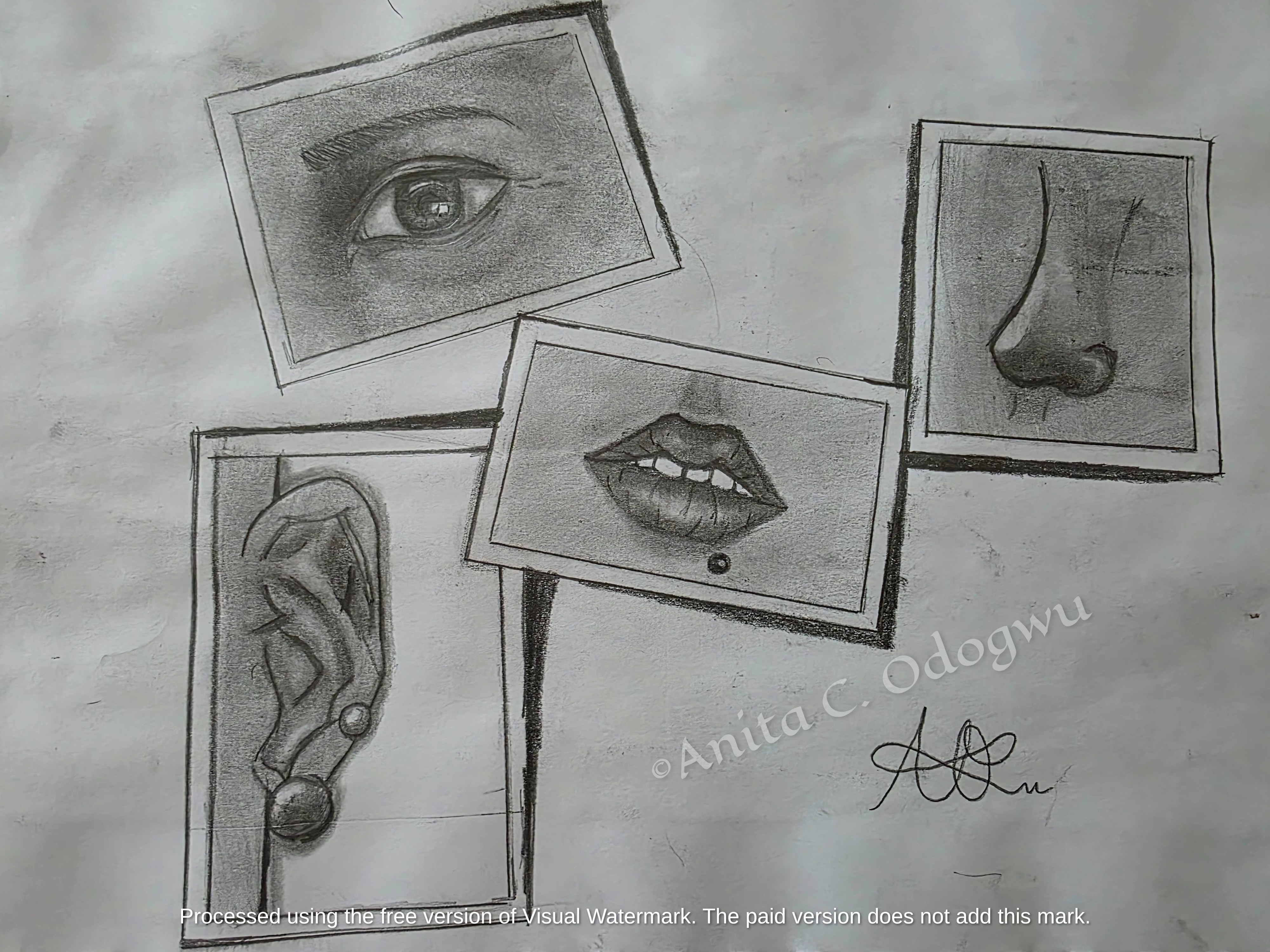 Graphic colored pencil drawing styled like a vintage square border polaroid picture frame